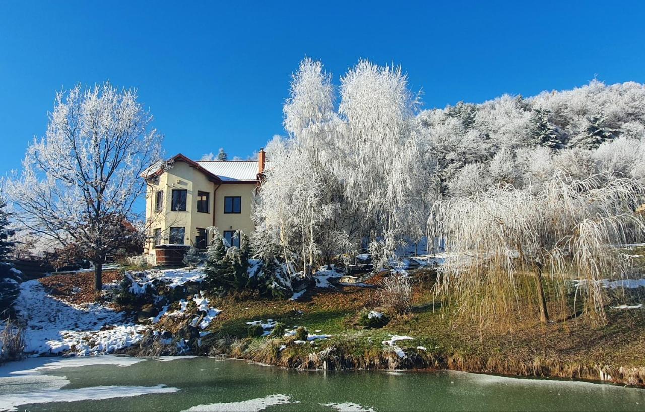 Trovanti Apartment Feleacu Екстер'єр фото
