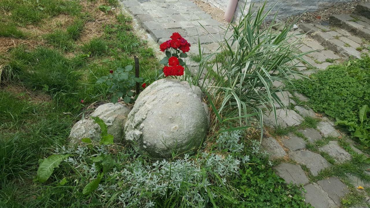 Trovanti Apartment Feleacu Екстер'єр фото